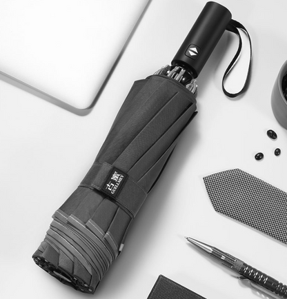 Men's Reverse Folding Automatic Umbrella